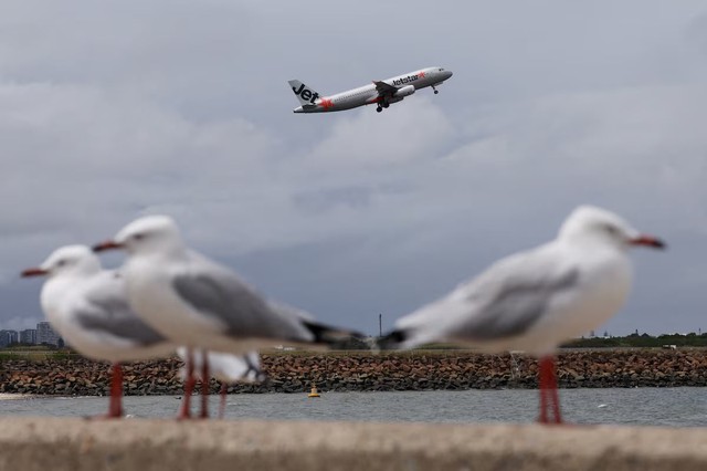 Australia probes near-miss collision of two planes on tarmac at Sydney airport- Ảnh 1.