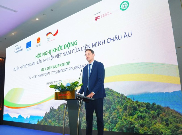 EU, Germany join Vietnam’s efforts in natural forest restoration, sustainable management - Ảnh 1.