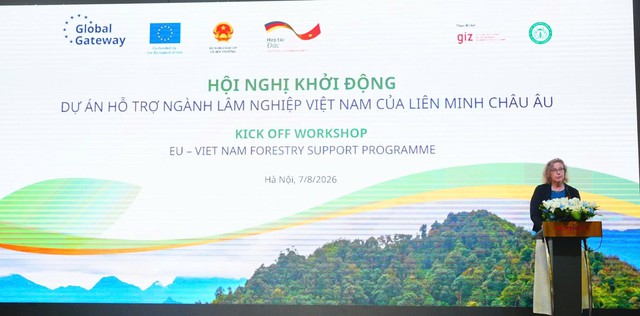 EU, Germany join Vietnam’s efforts in natural forest restoration, sustainable management - Ảnh 4.