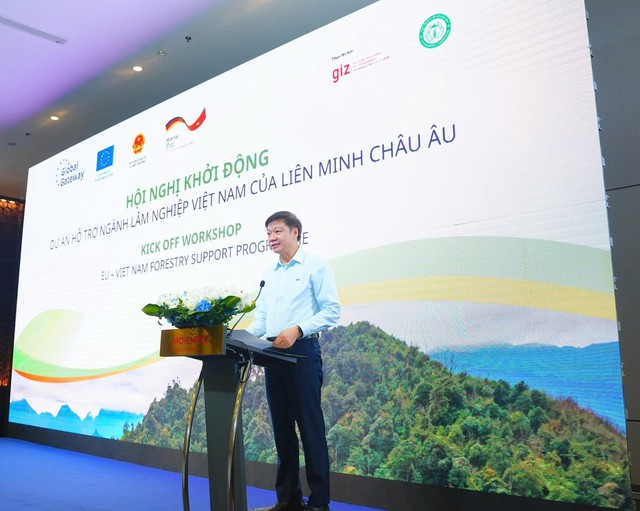 EU, Germany join Vietnam’s efforts in natural forest restoration, sustainable management - Ảnh 2.
