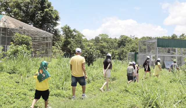 Local, int’l visitors see elephants, rare wildlife up close in Vietnam’s Central Highlands - Ảnh 6.