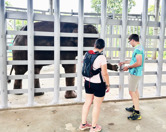 Local, int’l visitors see elephants, rare wildlife up close in Vietnam’s Central Highlands - Ảnh 7.
