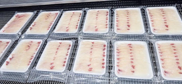 From fish farm to sashimi counter: Vietnam’s tilapia finds market in Japan- Ảnh 3.