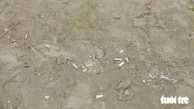 Vietnam’s Da Nang weighs penalties for cigarette littering on beach- Ảnh 2.