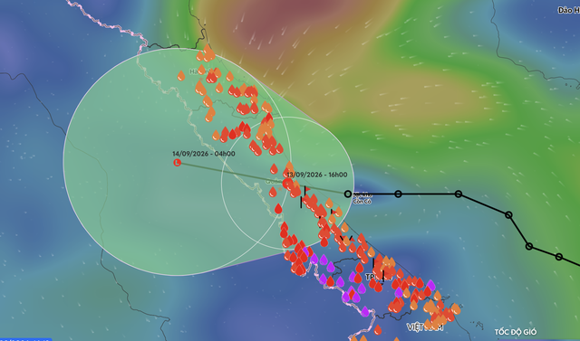 Tropical depression makes landfall, bringing heavy rain to north-central Vietnam - Ảnh 1.