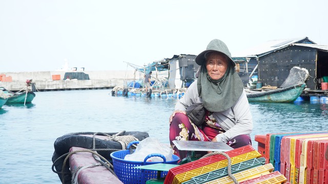 Fish get a unique ‘bath’ on Vietnam’s Tho Chu islands- Ảnh 5.