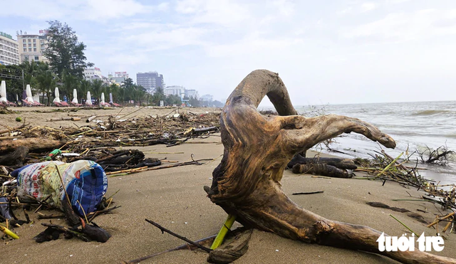 Floodwaters wash firewood, trash onto over 5km of north-central Vietnam beach- Ảnh 1.