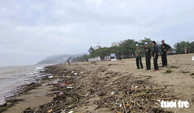 Floodwaters wash firewood, trash onto over 5km of north-central Vietnam beach- Ảnh 7.