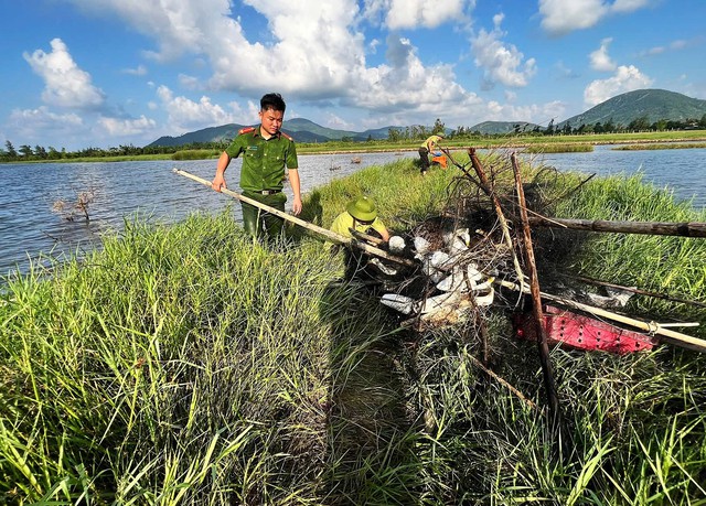 Over 20,000 bird traps dismantled in Vietnam’s Ha Tinh - Ảnh 7.