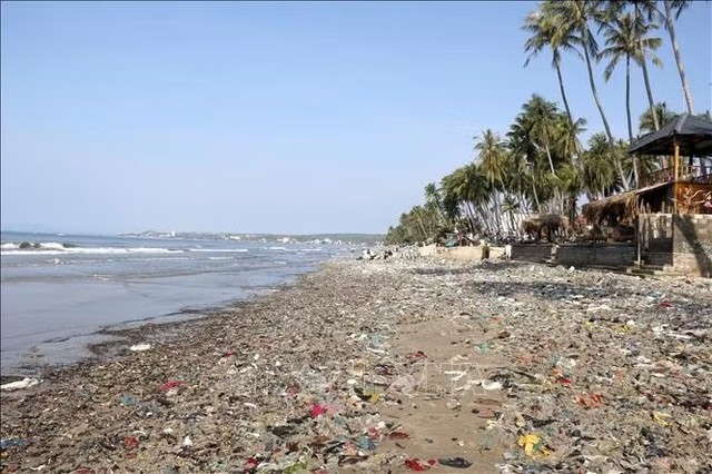 Authorities mobilize forces to clean up ocean waste at Mui Ne, Vietnam's popular beach destination - Ảnh 3.