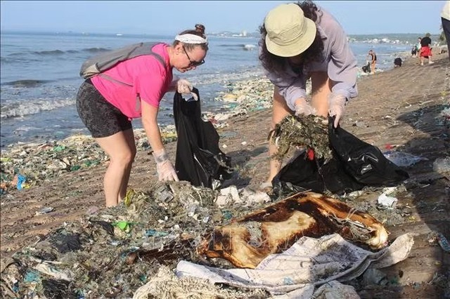 Authorities mobilize forces to clean up ocean waste at Mui Ne, Vietnam's popular beach destination - Ảnh 1.