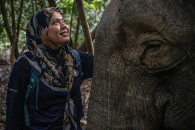 Malaysia's 'elephant whisperer' fights to save Borneo's endangered giants - Ảnh 6.