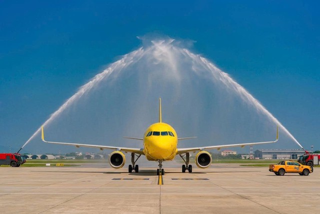 Vietnamese airlines expand fleets ahead of 2027 Tet travel rush - Ảnh 1.