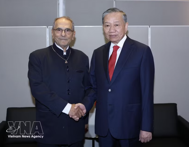 Top Vietnamese leader meets Timor-Leste, Swiss and Finnish Presidents in New York- Ảnh 1.