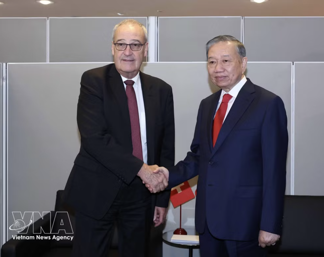 Top Vietnamese leader meets Timor-Leste, Swiss and Finnish Presidents in New York- Ảnh 2.