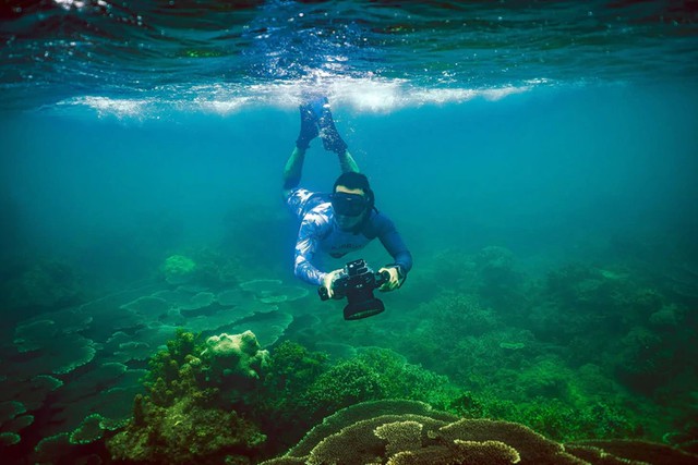 Vietnamese divers swim alongside sperm whales in Mauritius - Ảnh 5.