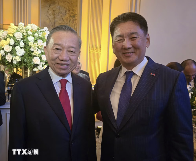 Vietnam to contribute $1.3mn to int’l peacekeeping budget: Party chief - Ảnh 2.