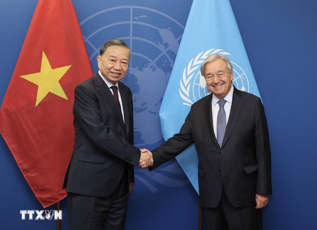 Vietnam to contribute $1.3mn to int’l peacekeeping budget: Party chief - Ảnh 1.