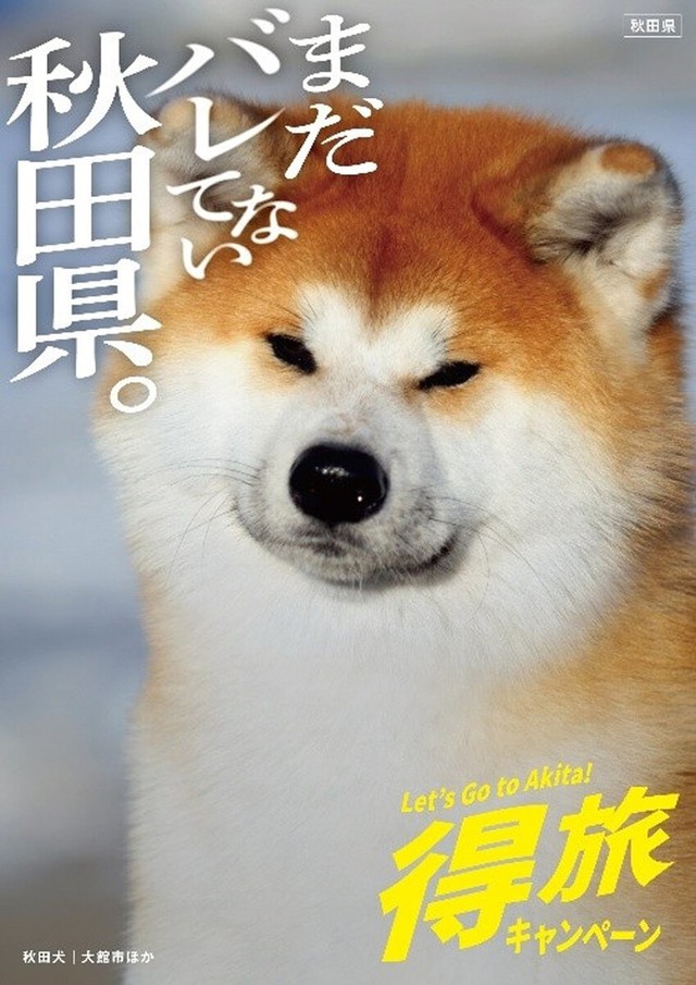 Japan municipalities make joke of low recognition for tourism PR- Ảnh 1.