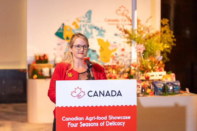Vietnam leads Canada’s merchandise trade with ASEAN - Ảnh 1.