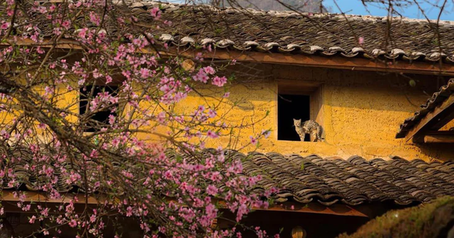 Beyond getaways: Travelers discover heart of local communities in Vietnam- Ảnh 8.