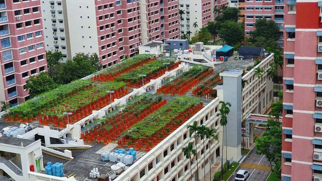 What can Vietnam learn from Singapore’s HDB model for affordable social housing? - Ảnh 1.