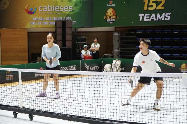 Da Nang grants free entry to Tien Son arena for Pickleball World Cup- Ảnh 1.