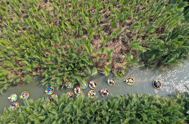 Hoi An to launch new tour at Cam Thanh Coconut Forest- Ảnh 1.