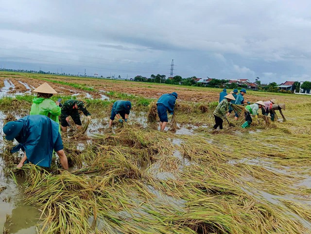 A rice harvest worth $1.35 in profit: Harsh reality for a Central Highlands farmer- Ảnh 5.