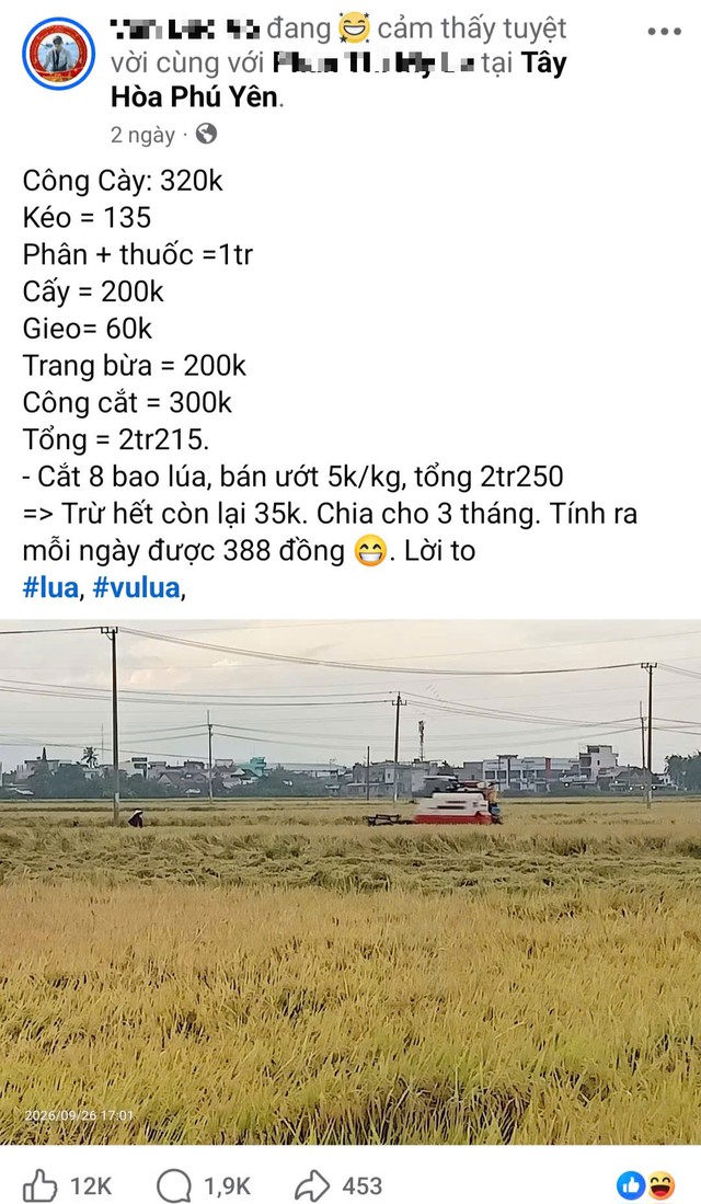 A rice harvest worth $1.35 in profit: Harsh reality for a Central Highlands farmer- Ảnh 2.