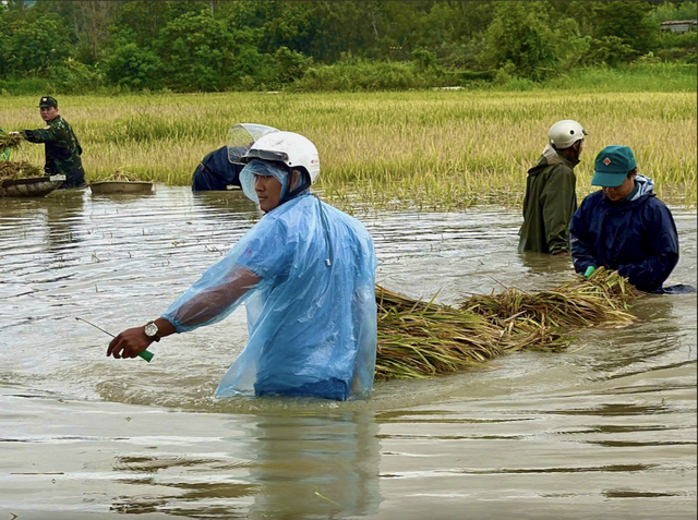 A rice harvest worth $1.35 in profit: Harsh reality for a Central Highlands farmer- Ảnh 4.
