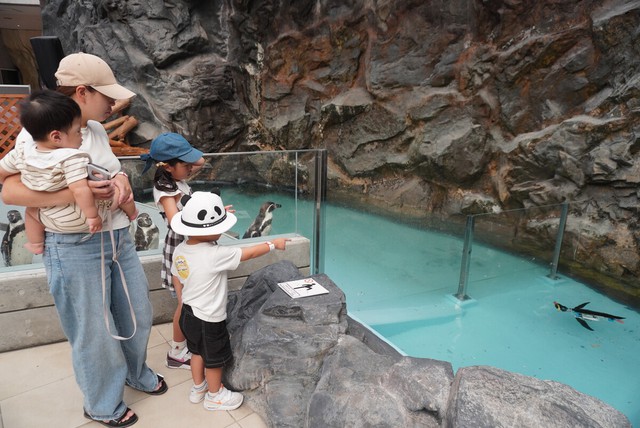 Realistic robotic penguins popular at Wakayama Theme Park - Ảnh 1.