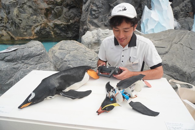 Realistic robotic penguins popular at Wakayama Theme Park - Ảnh 2.