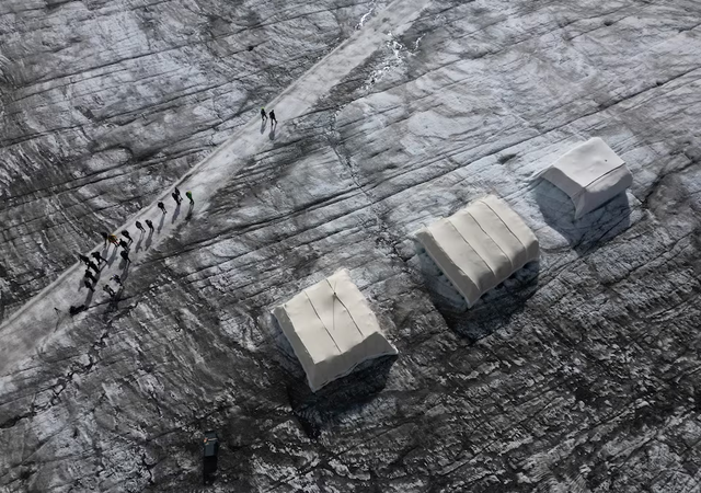 Can sheep save the glaciers? Swiss scientists put wool to the test- Ảnh 1.