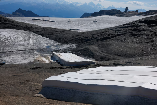 Can sheep save the glaciers? Swiss scientists put wool to the test- Ảnh 3.