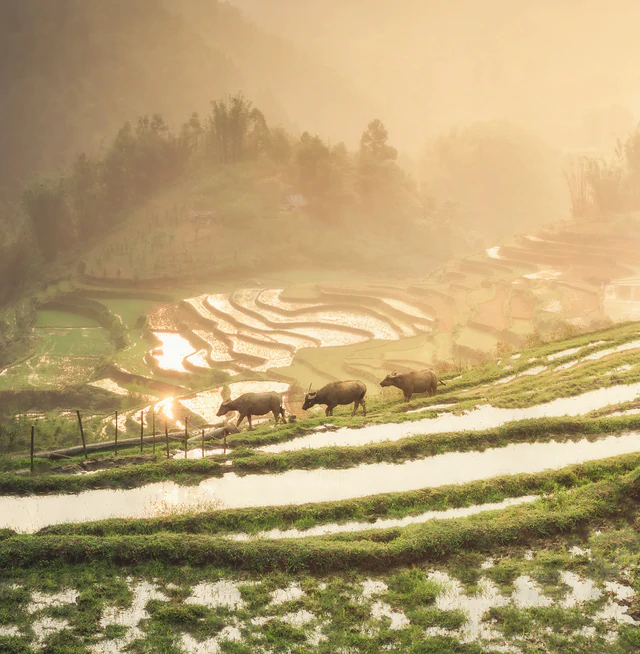 Vietnam bets on identity, experiences to sharpen tourism appeal- Ảnh 5.