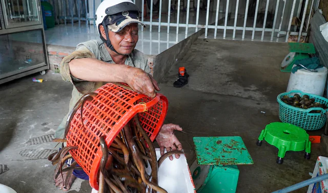 Blind man’s uncanny skill at catching mud eels in southern Vietnam- Ảnh 5.