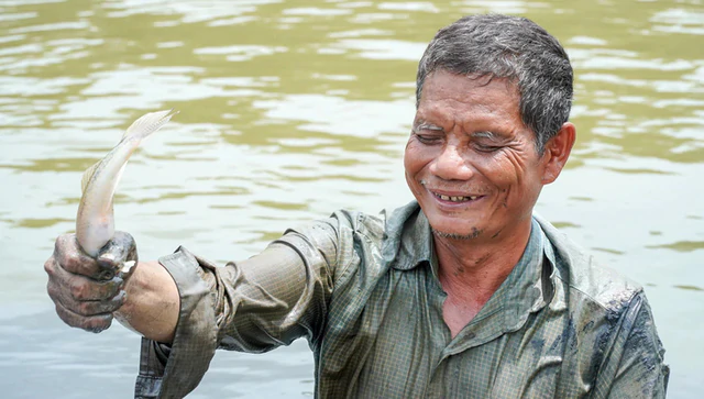 Blind man’s uncanny skill at catching mud eels in southern Vietnam- Ảnh 4.