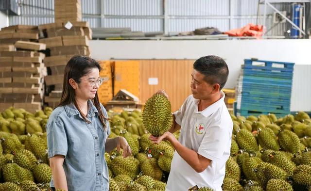 Vietnam targets $4bn in durian exports in 2026- Ảnh 3.