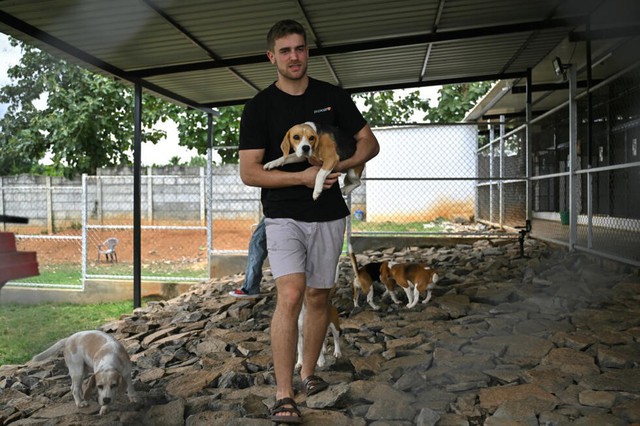 Can dogs sniff cancer? AI joins the hunt in India- Ảnh 3.