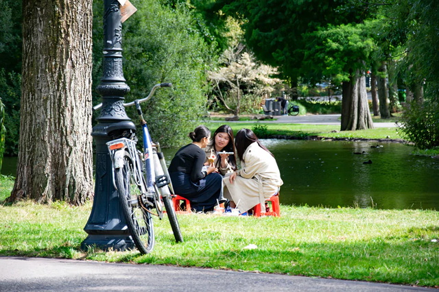 Croatian man brings Vietnam’s sidewalk coffee culture to Amsterdam- Ảnh 4.