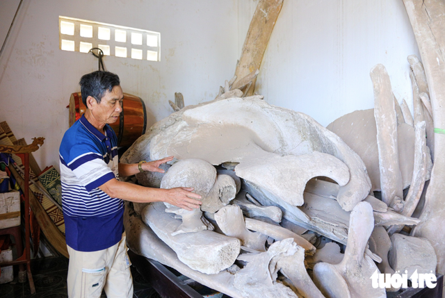 Vietnam’s nearly 400-year-old fishing village worships 2 giant whale skeletons- Ảnh 1.