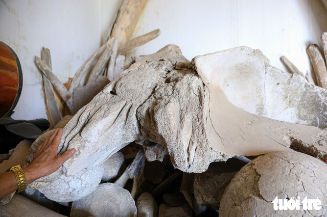 Vietnam’s nearly 400-year-old fishing village worships 2 giant whale skeletons- Ảnh 2.