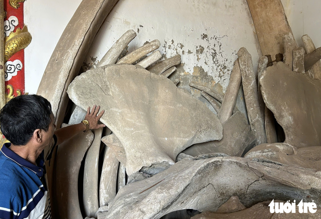 Vietnam’s nearly 400-year-old fishing village worships 2 giant whale skeletons- Ảnh 3.