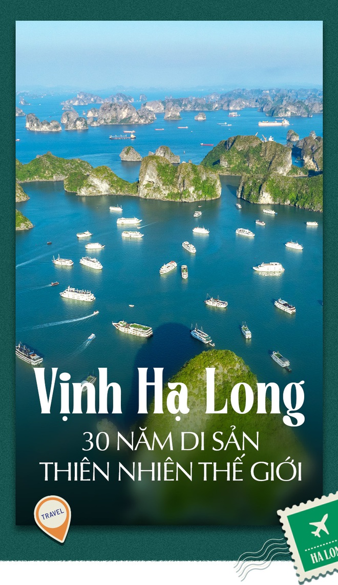 Vịnh Hạ Long thuộc khu vực biển nào của Việt Nam?