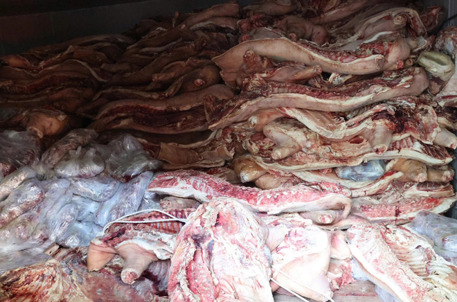 Vietnamese man arrested for storing nearly 40 tonnes of diseased pork for illegal sale
- Ảnh 1. Vietnamese man arrested for storing nearly 40 tonnes of diseased pork for illegal sale
- Ảnh 1.