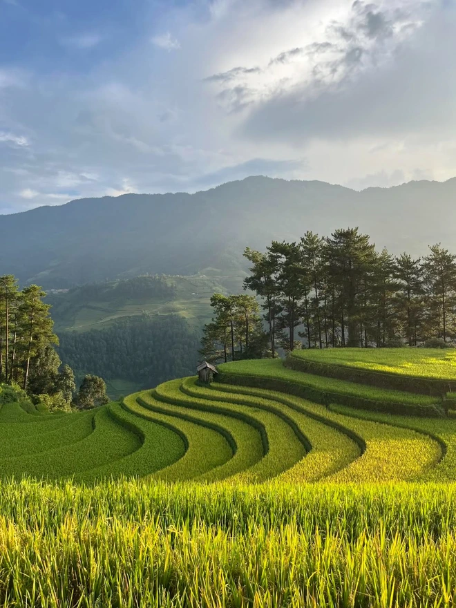 Japanese woman travels solo around the world, 70 days across Vietnam on Vespa- Ảnh 4.