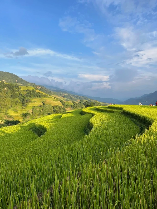 Japanese woman travels solo around the world, 70 days across Vietnam on Vespa- Ảnh 3.