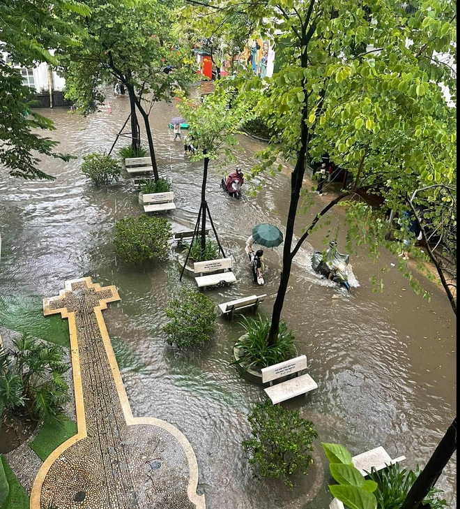 Sinh viên Hà Nội ứng phó với cảnh ngập úng do mưa bão- Ảnh 2.