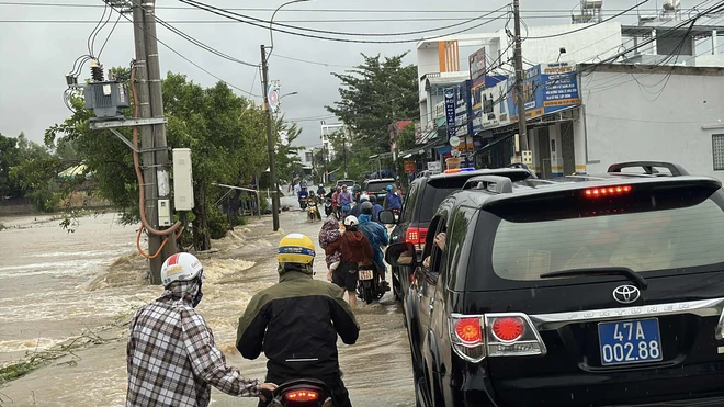 Đắk Lắk - Ảnh 1.